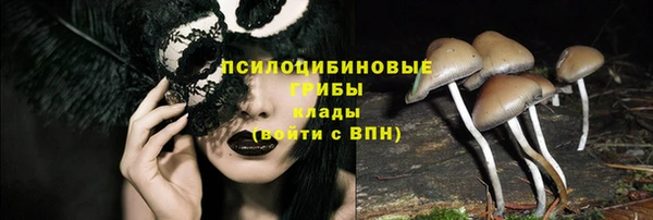 дурь Армянск