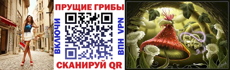 Псилоцибиновые грибы Psilocybine cubensis  Мамоново 